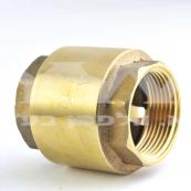 spring check valve